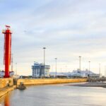 Dace Pacific hake sailbearer butterflyfish
