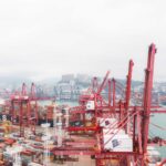 Alooh Bombay duck, lefteye flounder deep sea